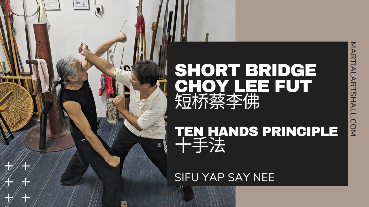 Short Bridge Choy Lee Fut: Ten Hands Principles (短桥蔡李佛: 十手法)