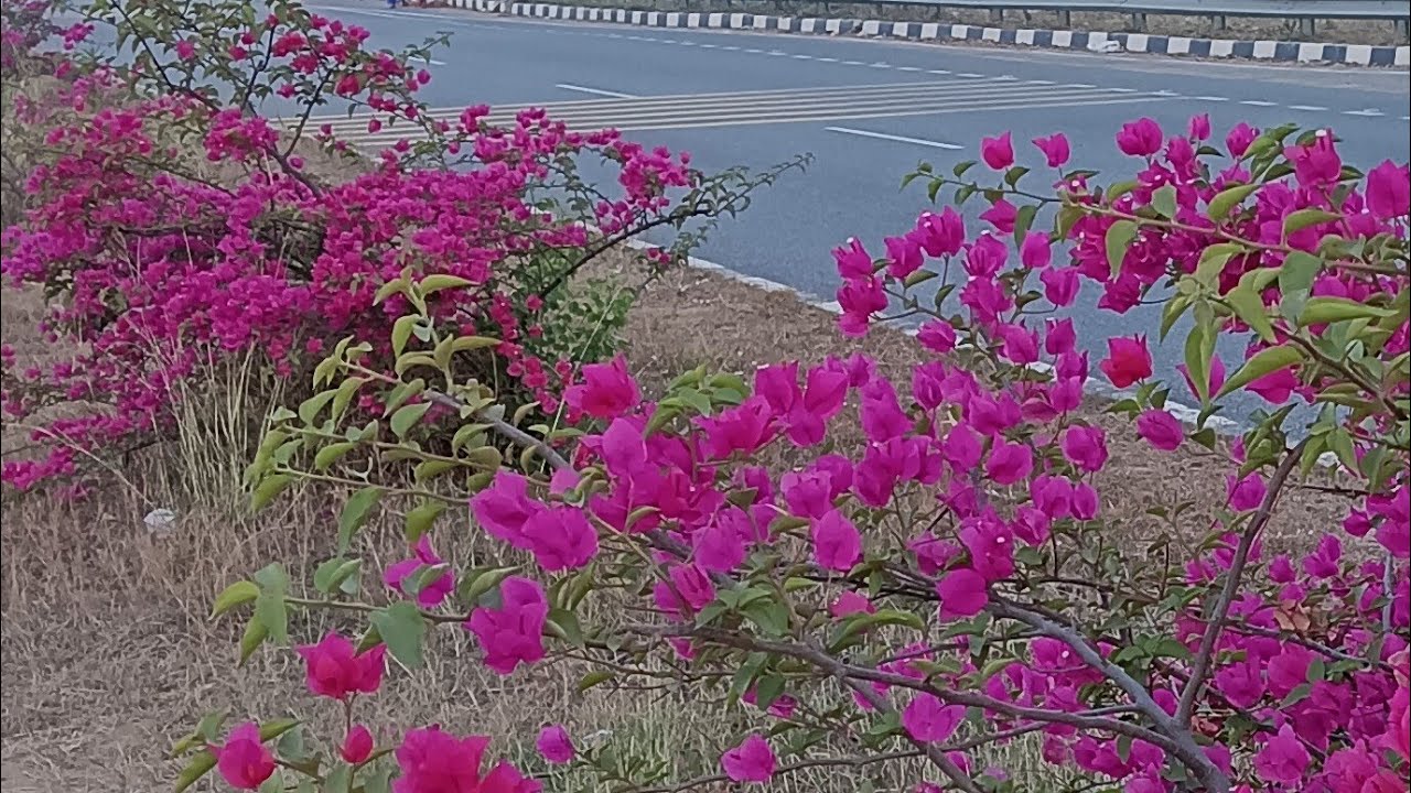 आप सभी फ्रेंड्स को गुड मॉर्निंग  तो आप लोग जुड़ी है और अपने दोस्तों को भी शेयर कीजिए