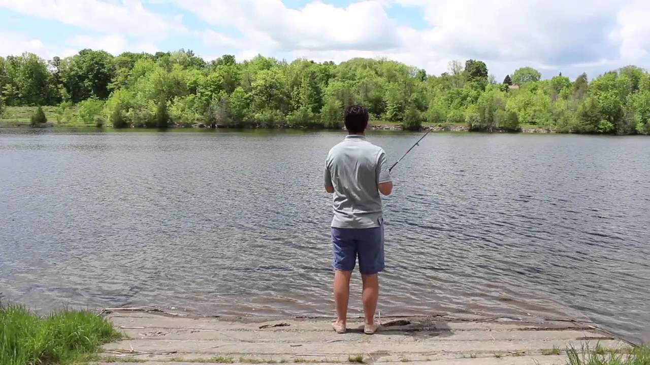 Learning to Fish
