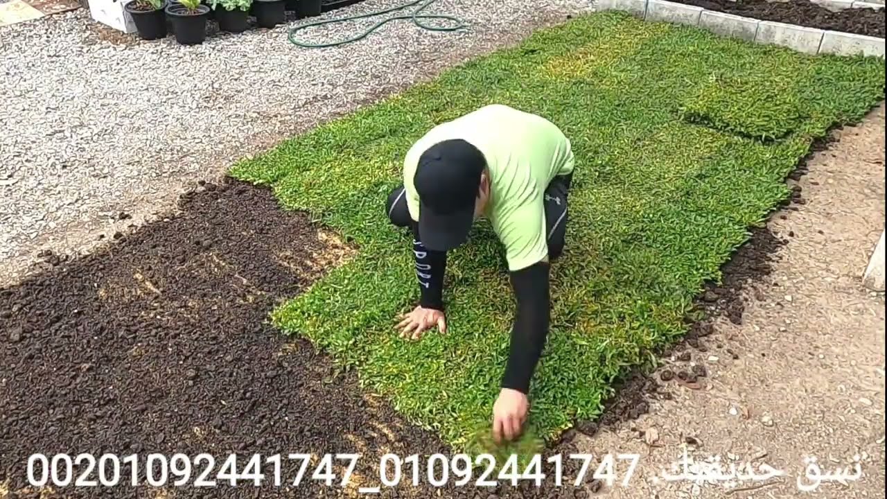 5 أخطاء خد بالك منهم عند زراعة النجيل