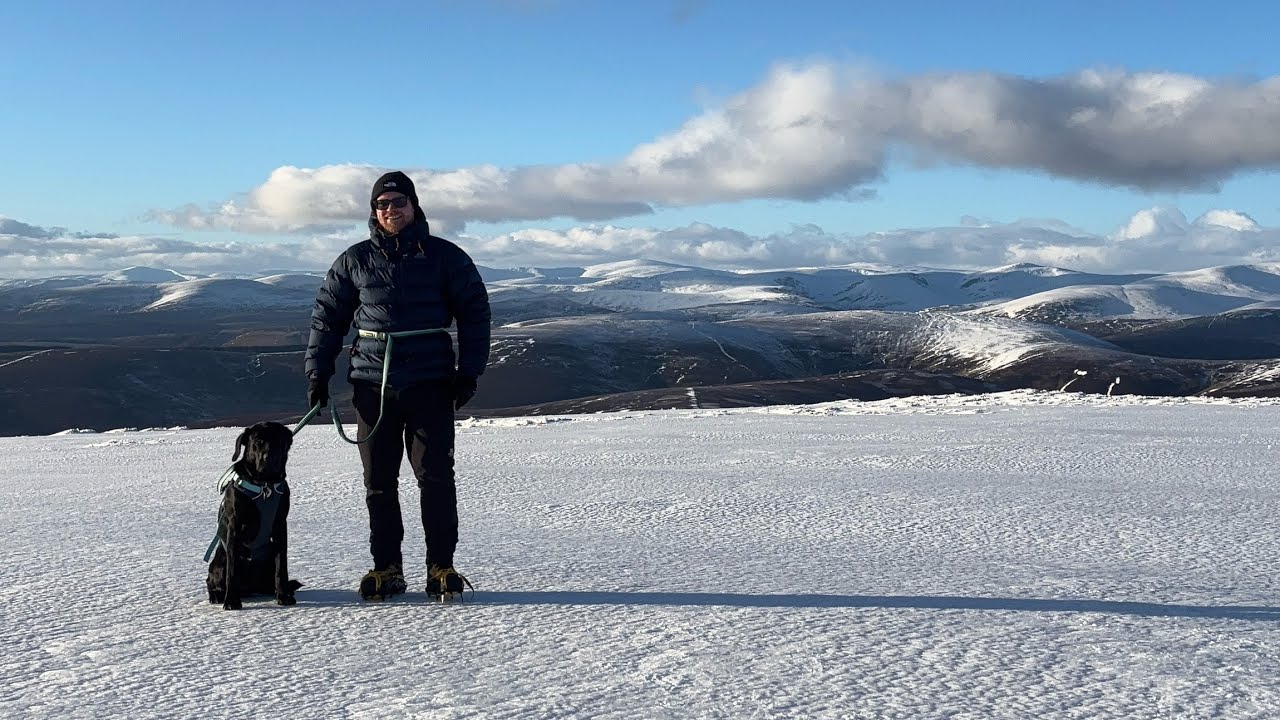 Cat Law - Clear Skies And Snowy Hills At Long Last!