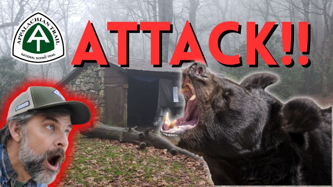 Appalachian Trail Thru-Hiker SCARE in Maine | Bear ATTACK and THE Sketchy Hiker