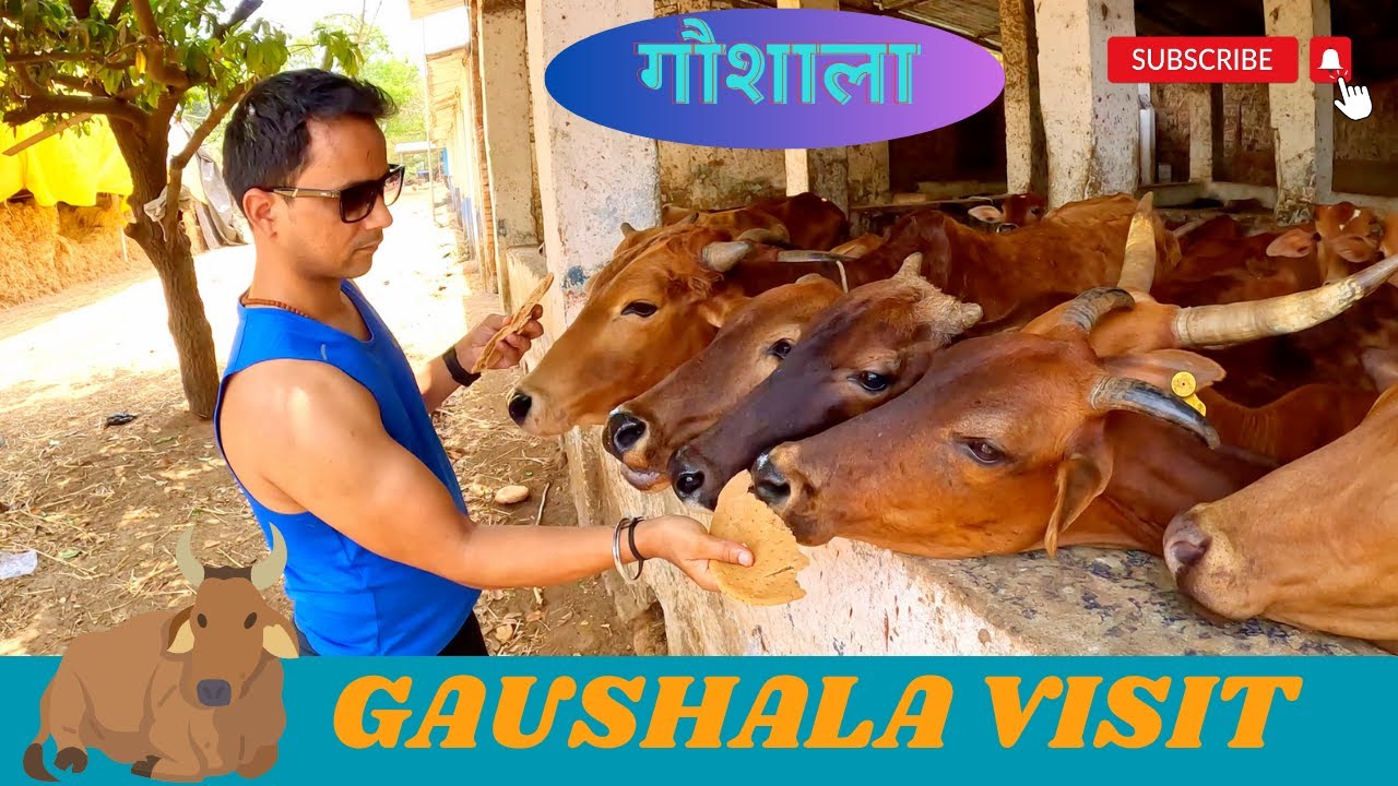 GAUSHALA VISIT | गौशाला | Wada Trip | Friends | Traveling Video | ItsAmit Vlog