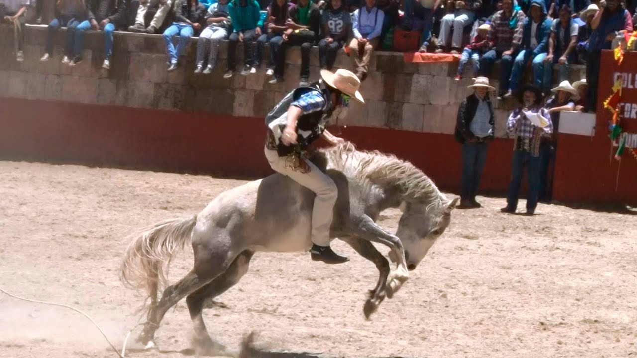 Doma de Potros-Chumbivilcas