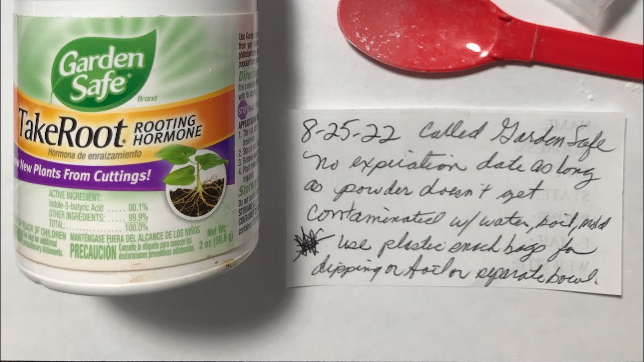 Rooting hormone with No expiration date & see new roots on root rotted plant using my 2 nd method!