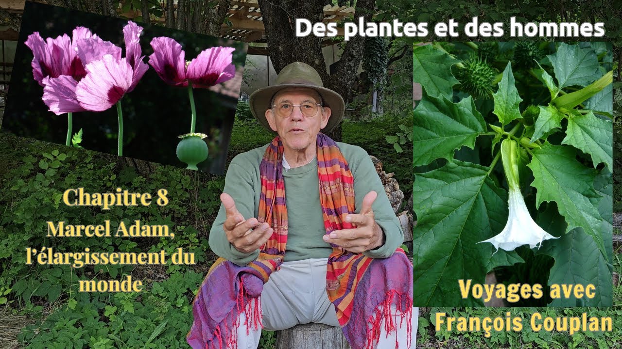 Chap. 8 : Marcel Adam, l’élargissement du monde / Voyage avec François Couplan