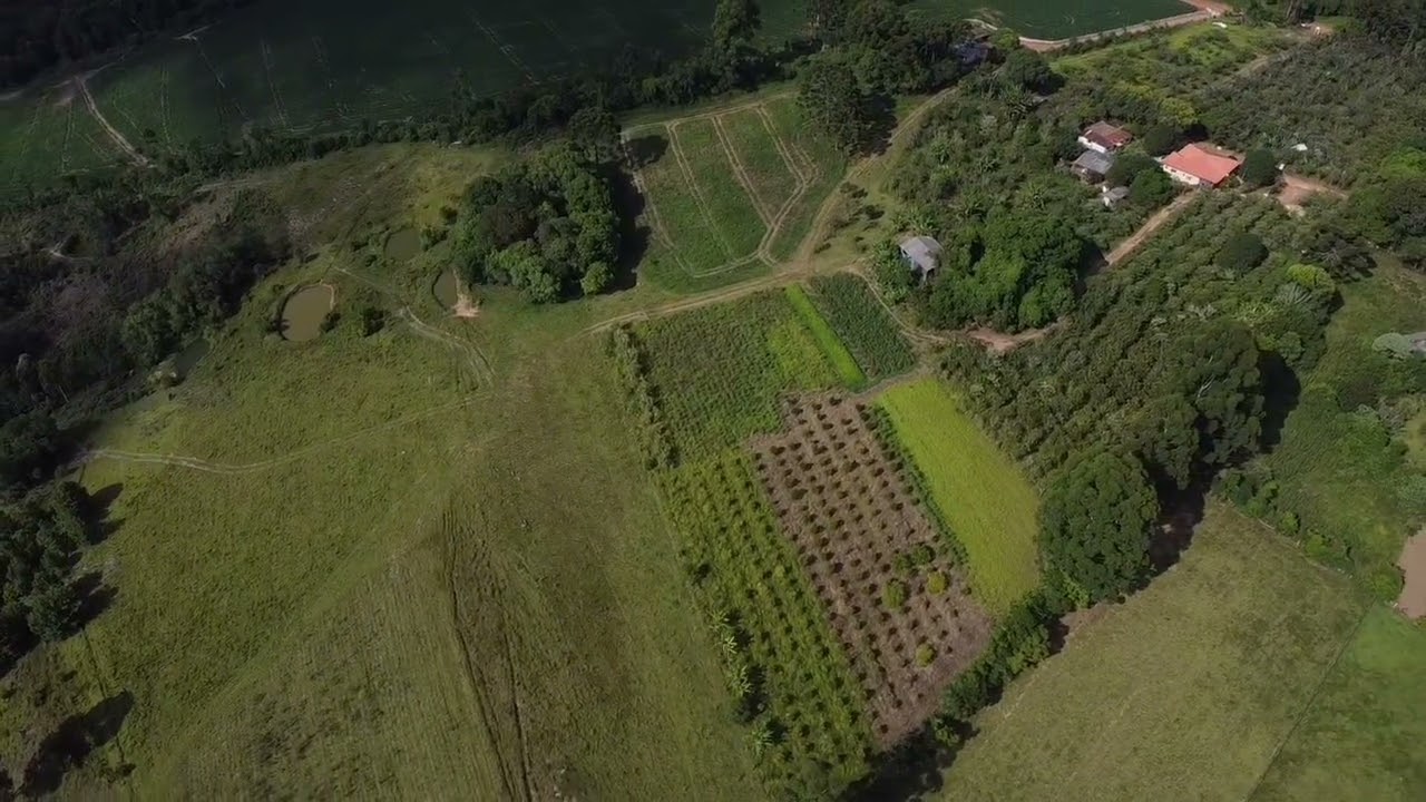 Sítio boa Esperança. Cerrado grande - Tibagi - Paraná 