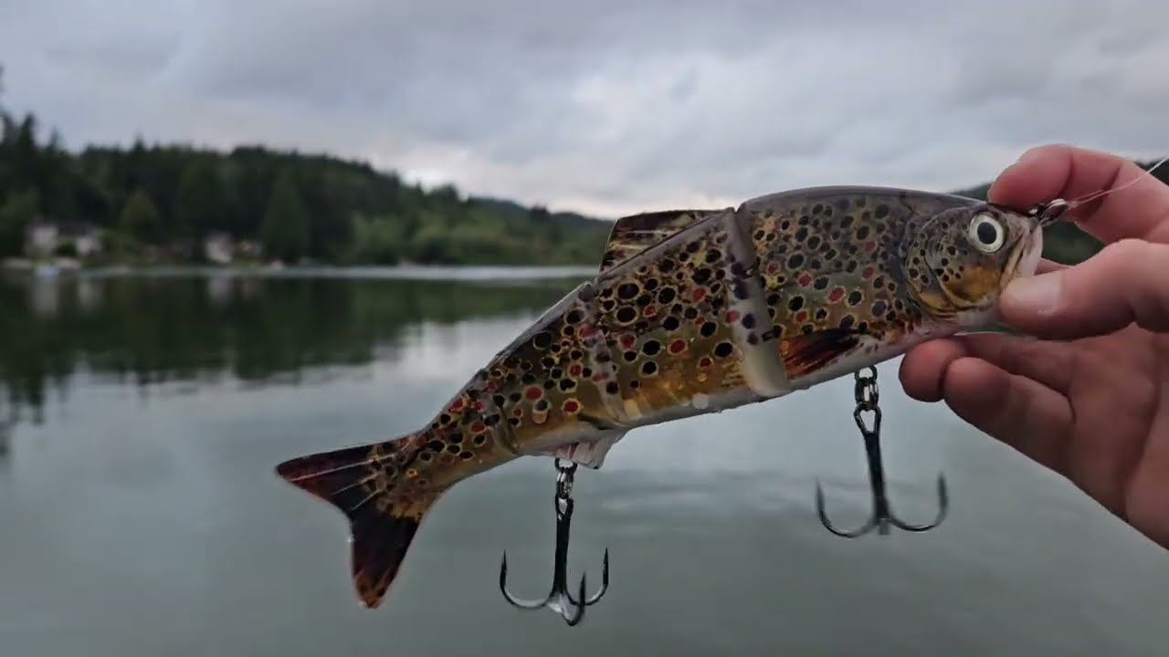 Temu Swimbait....Is it worth it? (Part 2)