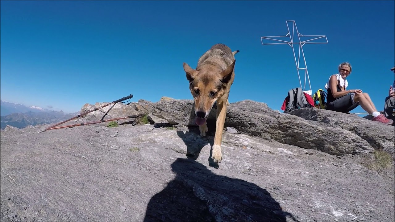 Cheneil - Becca d'Aran - Mont Roisetta(3334m), Valle d'Aosta, Italy, 29-07-2018