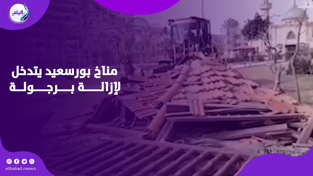 بسبب الرياح مناخ بورسعيد يتدخل لإزالة برجولة حطمتها نخلة