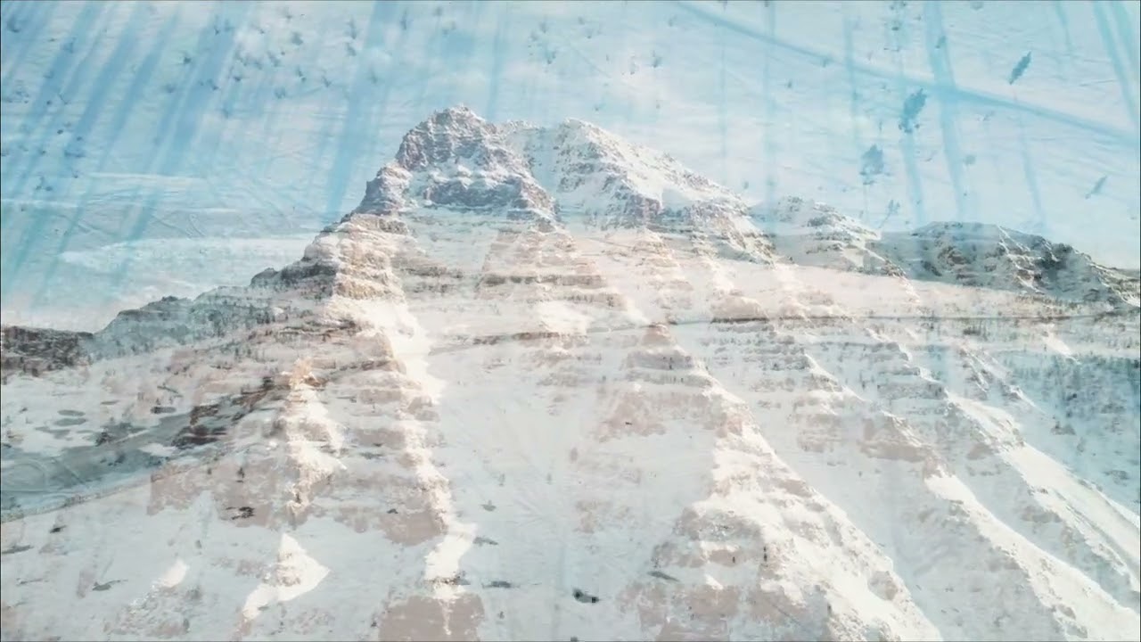 Dear Gravity & Broken Peak : Ninemile Pine