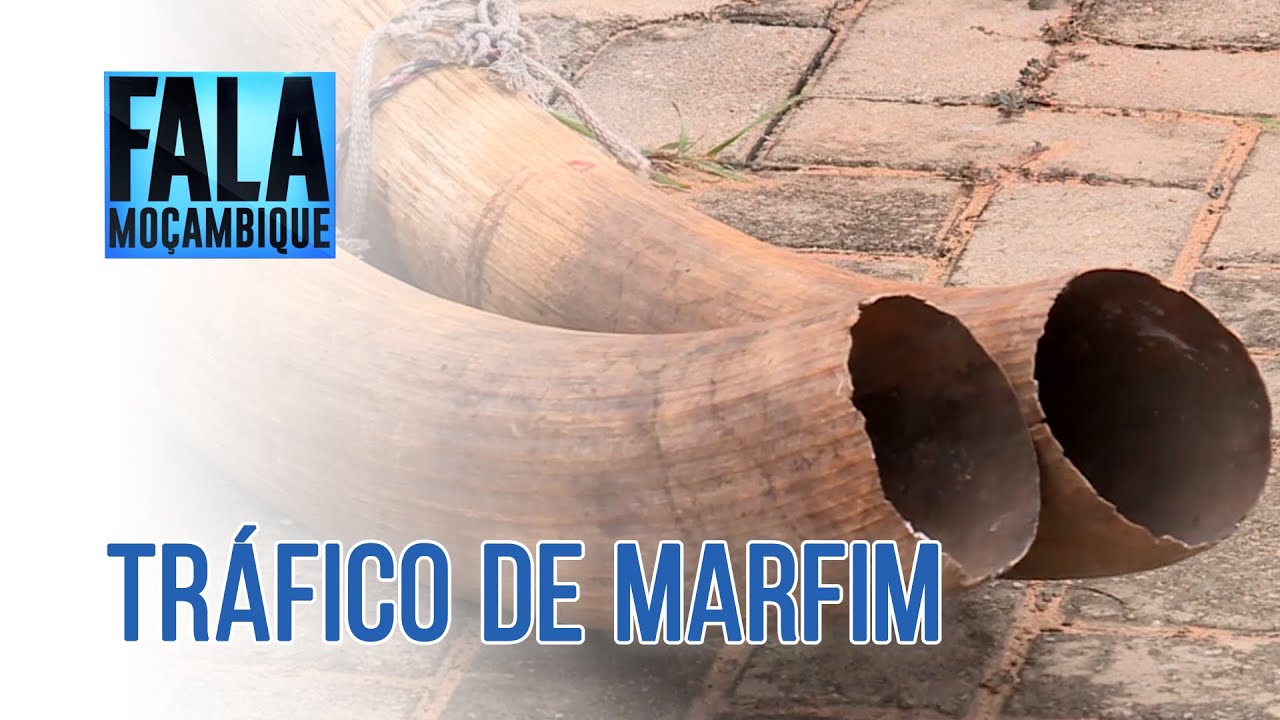 Detida suspeita em Marracuene na posse de duas pontas