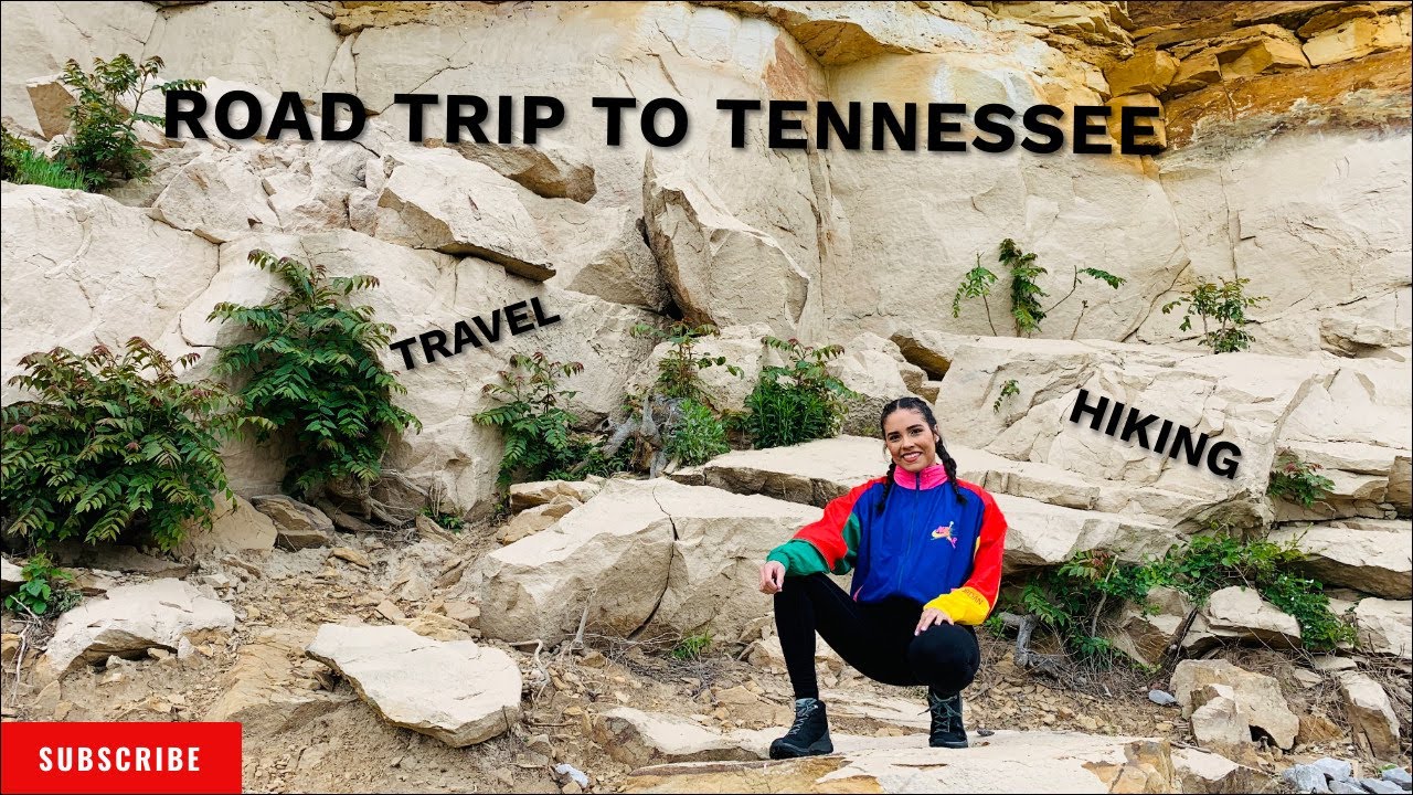 COME WITH ME TO TENNESSEE VLOG-DAYS 1-2 | Daniela Carolina