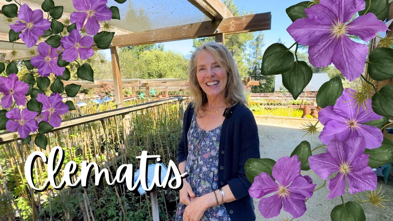 Fionuala Talks All About Clematis!  It's Her Passion (and Maybe a Little Bit of an Obsession!) 😉