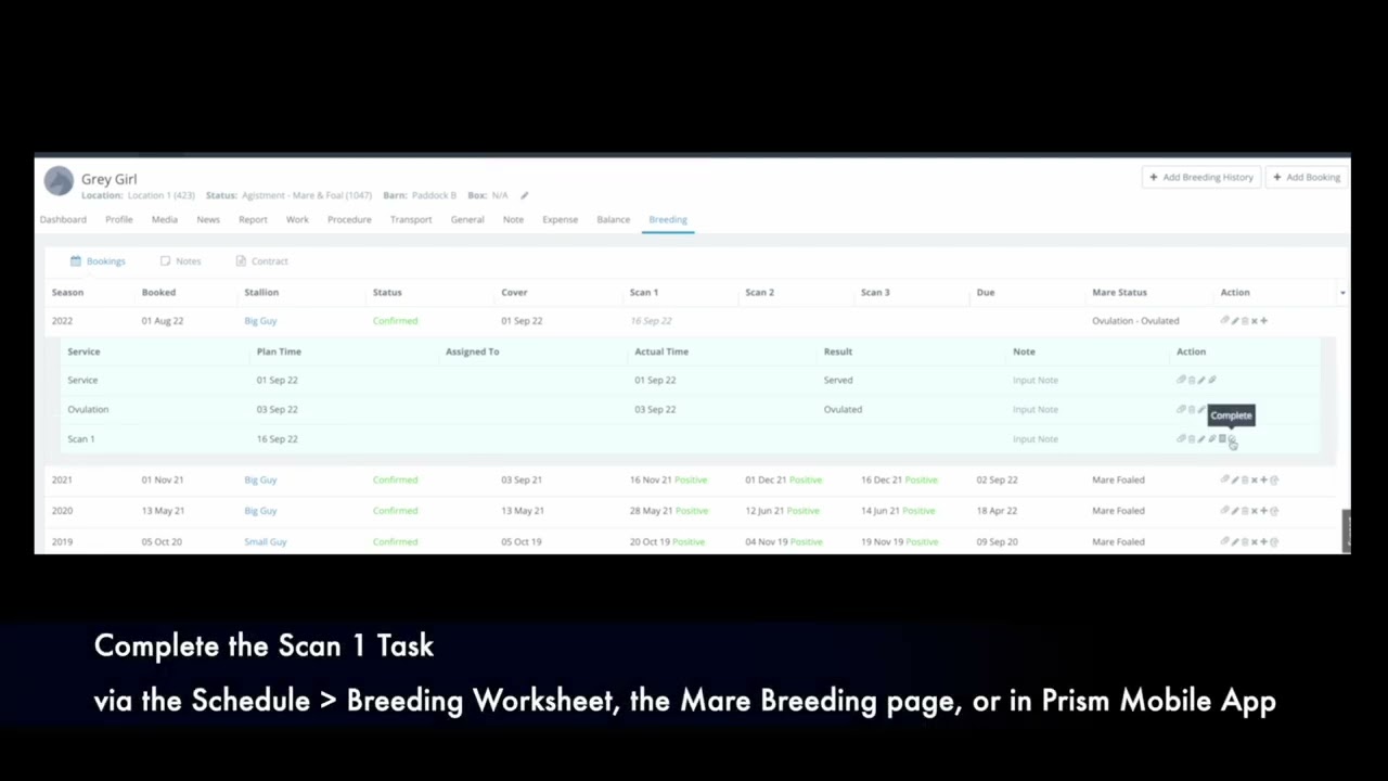 Prism Breeding   Mare Breeding Tasks