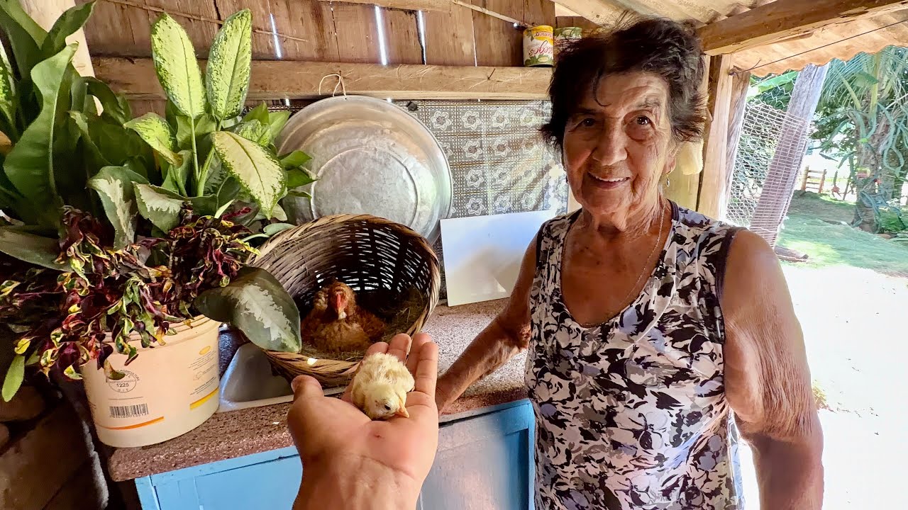 Hoje fui ver como está dona Maria da casa de chão# e aproveitando para mostrar este lindo lugar…