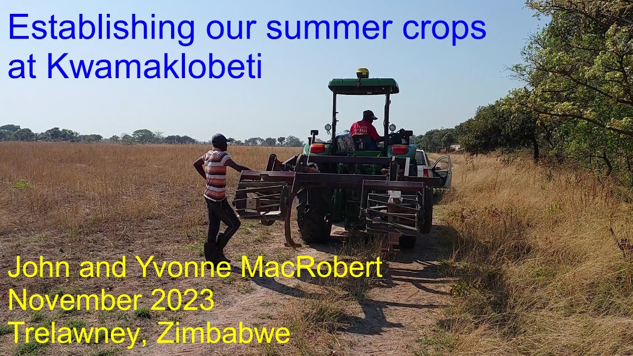 Establishing 2024 Summer Crops