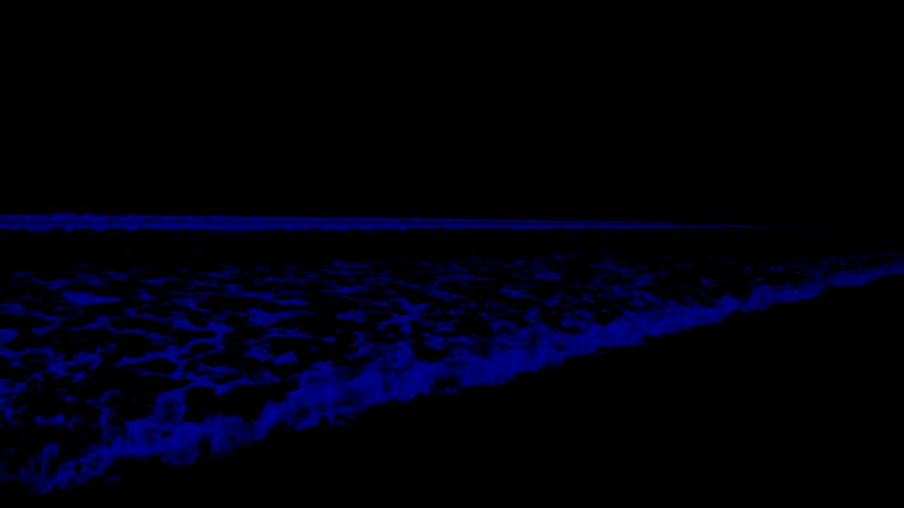 No Ads Adhd Sleep Therapy • Deep Sleep Immersion Therapy With Peaceful Ocean Waves On Dark At Night