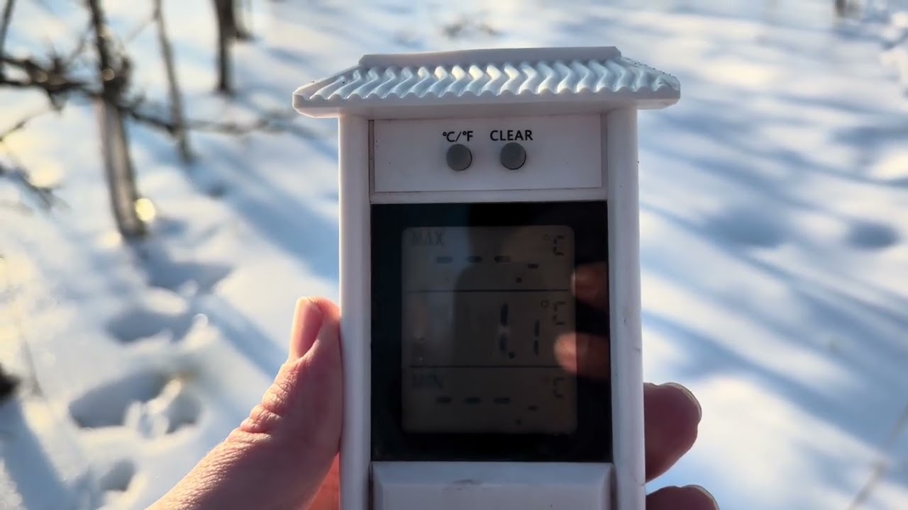 Czy mój termometr to przetrwa ?  #sadownictwo 