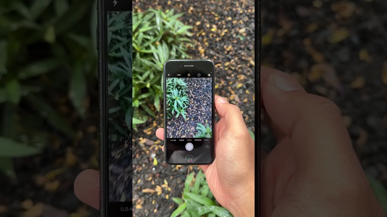 iPhone 7 128gb Cuma 800 Ribuan