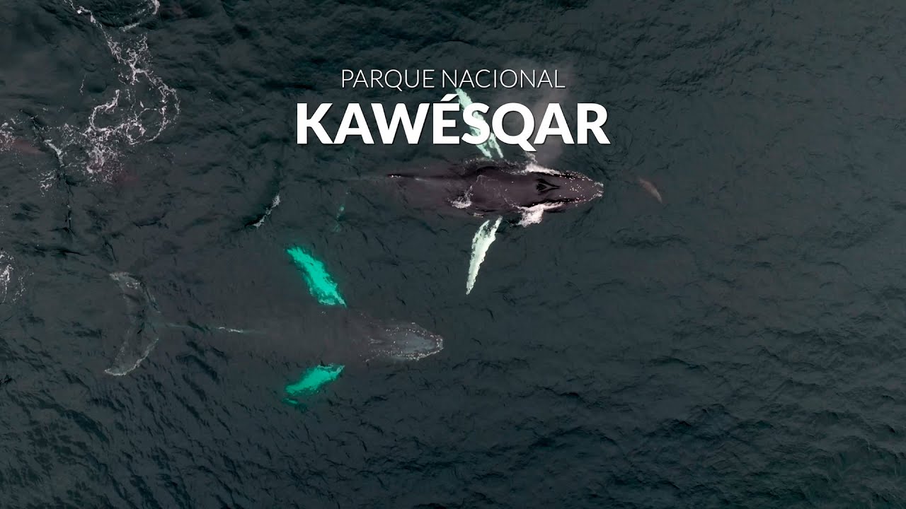 Parque Nacional Kaw&eacute;sqar | Ruta de los Parques de la Patagonia