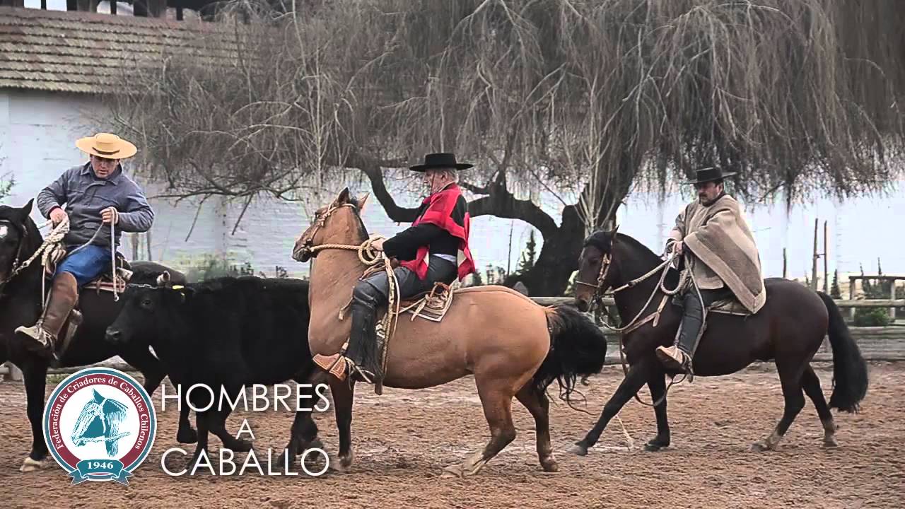 Hombres a caballo, Don Luis Mayol Bravo