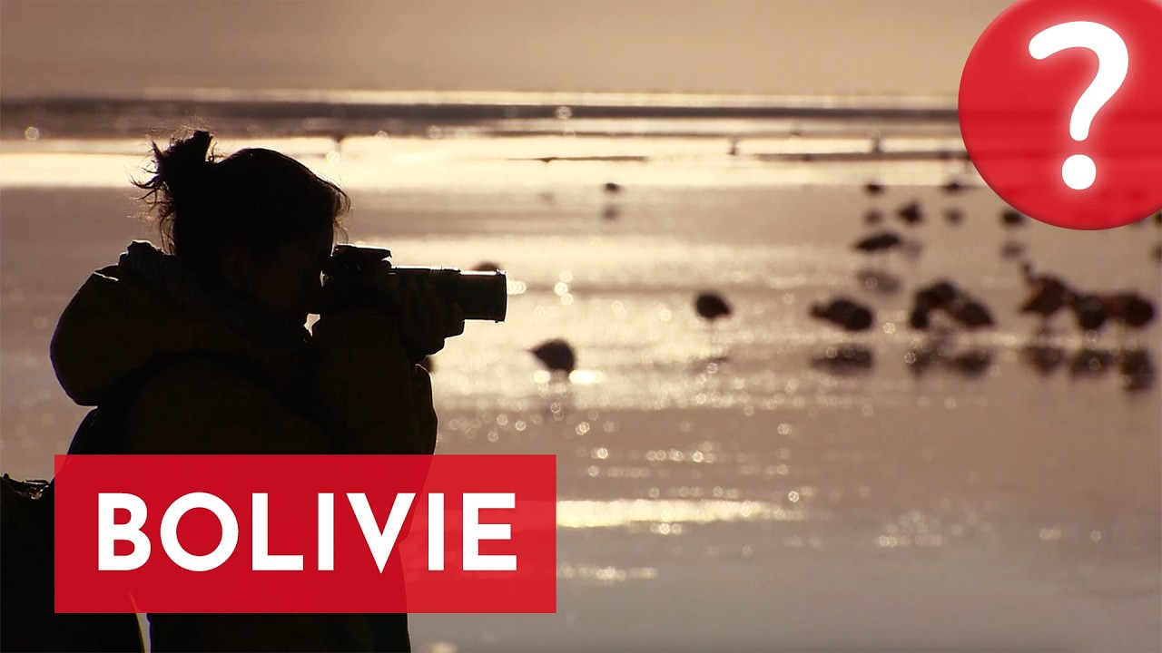 Bolivie : Terre de volcans et de jungle !