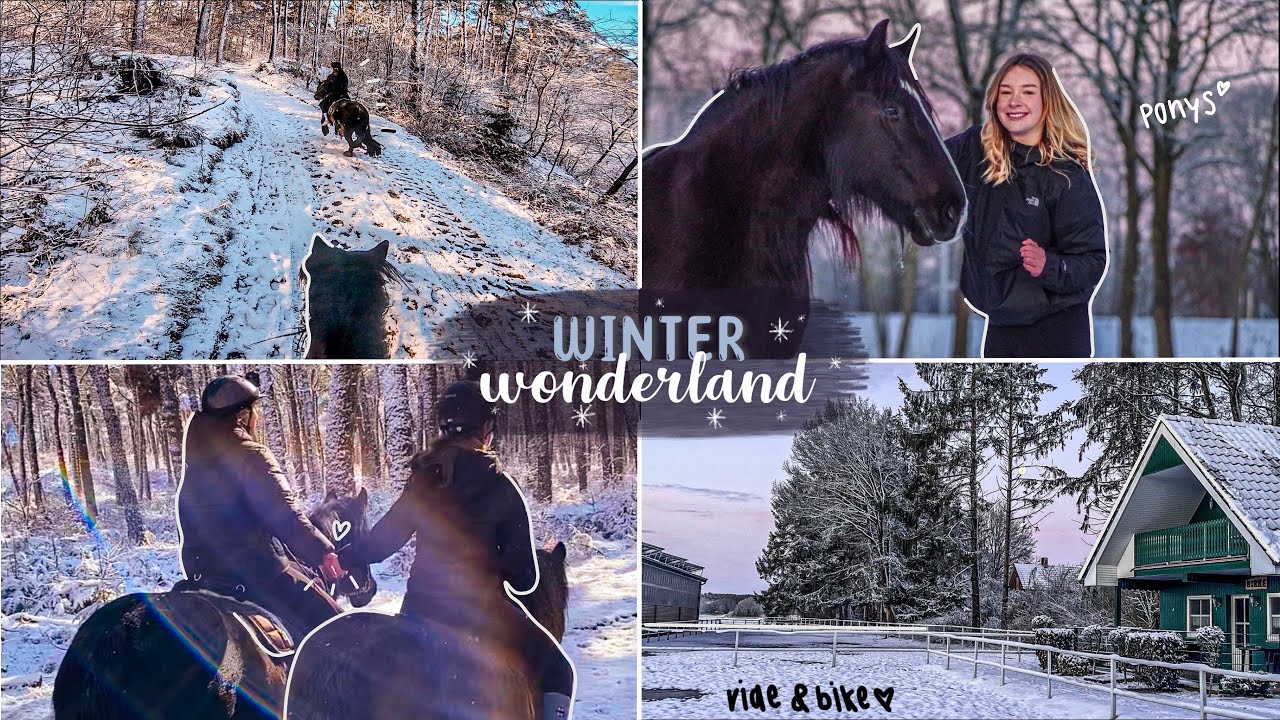 Reiterhof Rohe März We ~ Winterwonderemsland || Ride and Bike