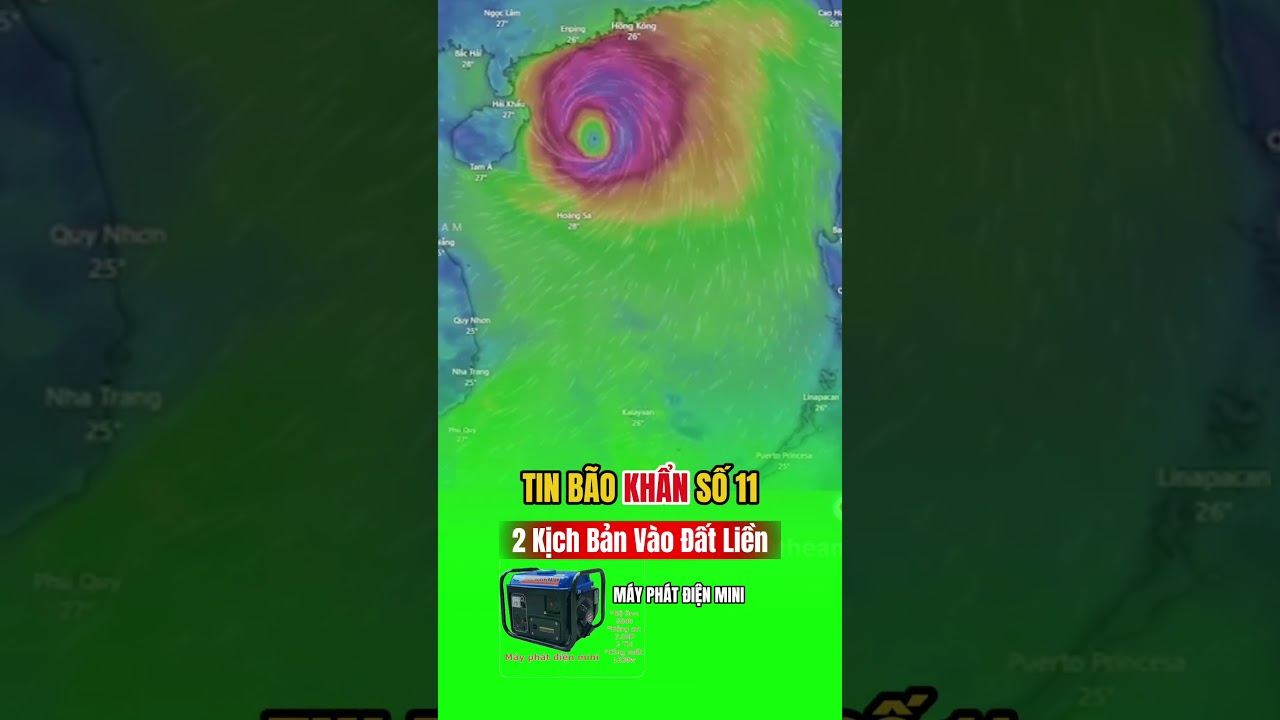 Kịch Bản Bão số 11 