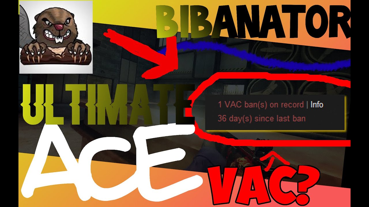 Bibanator ACE!! Incredible Spraycontroll by biBdo! True Global Elite!