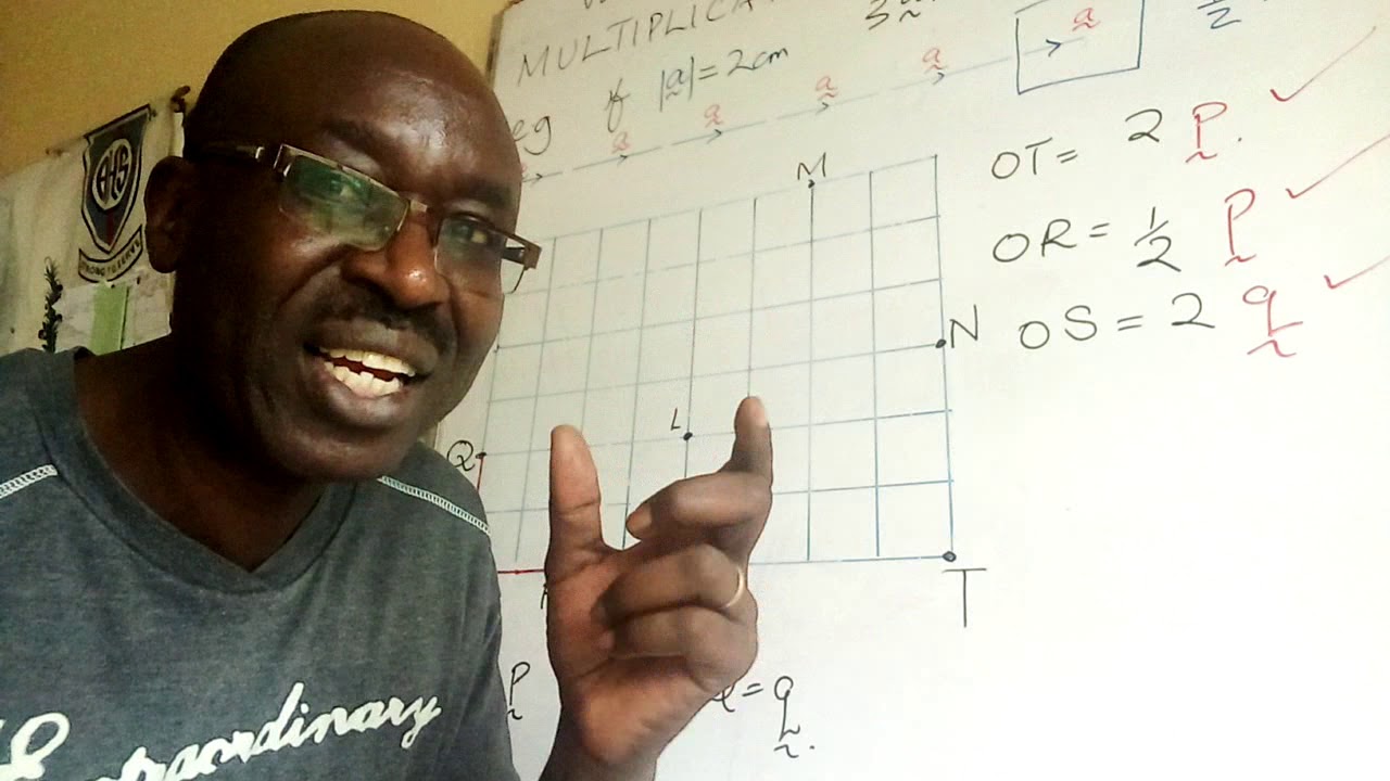 VECTOR F2 #MATHS# MULTIPLICATION BY SCALAR Lesson 6