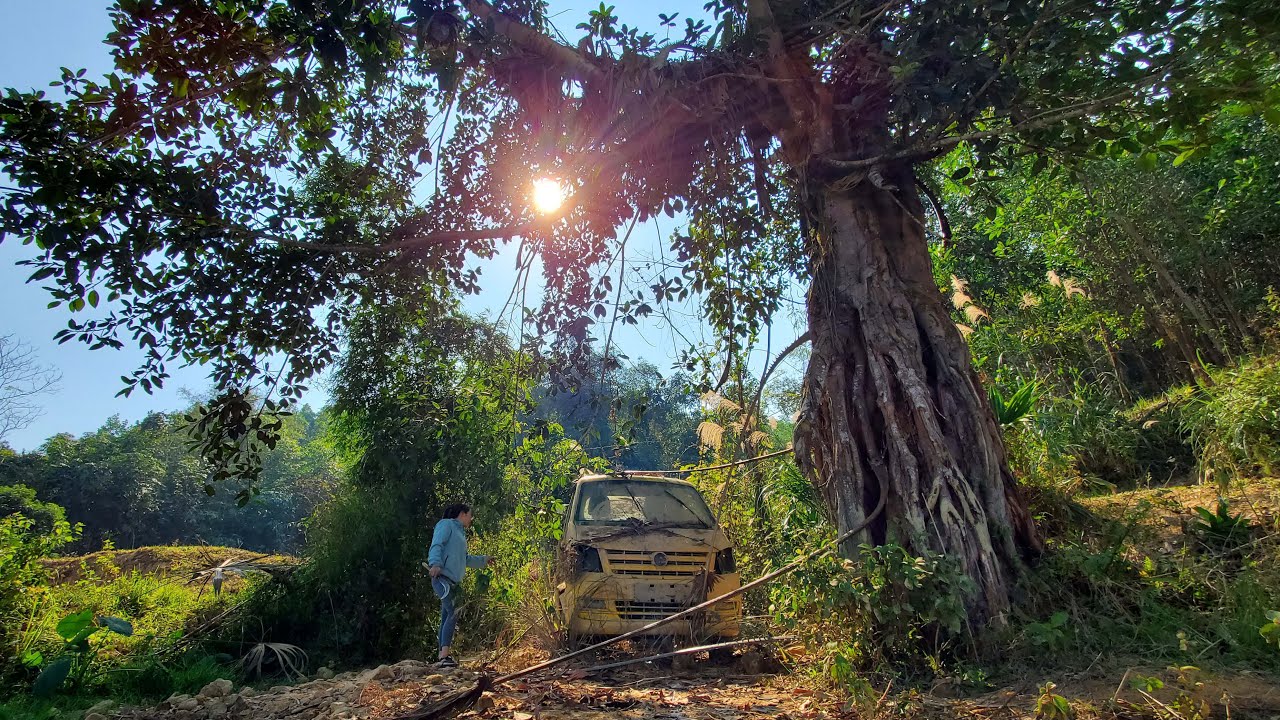 GIRL Revives Abandoned Car Under Ancient Tree!