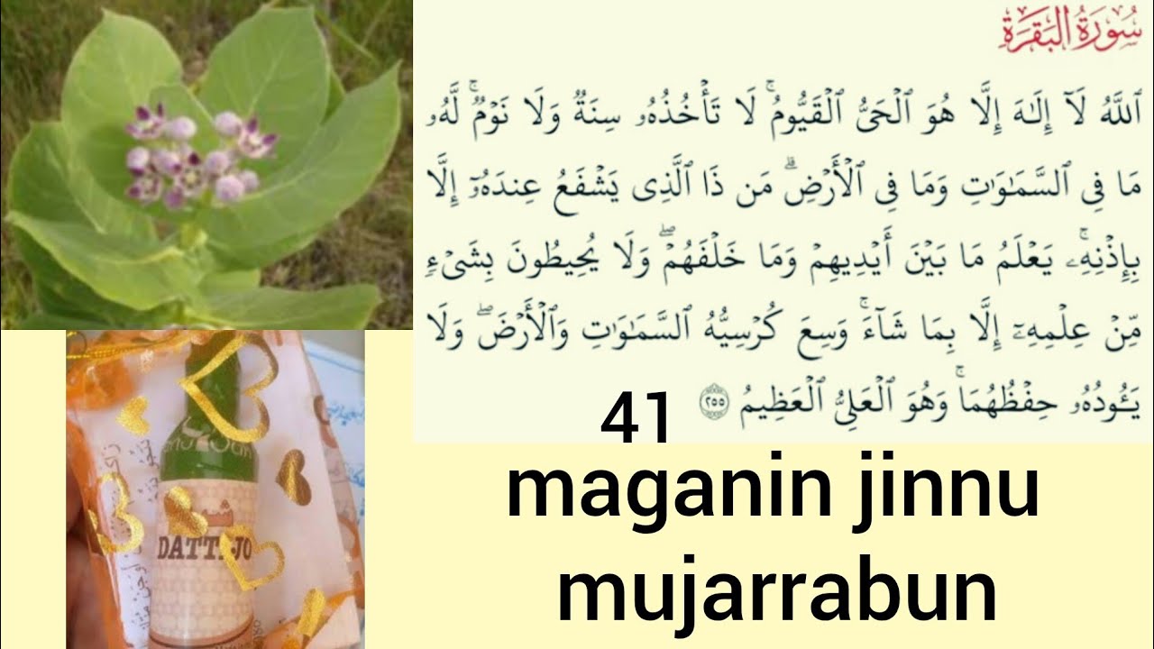 Maganin jinnu mujarrabun da yardan Allah