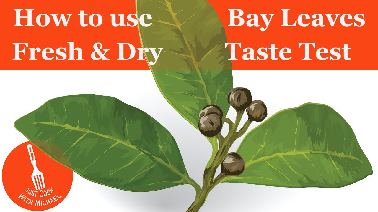 How to use bay leaves | Bay Leaf Flavor Test