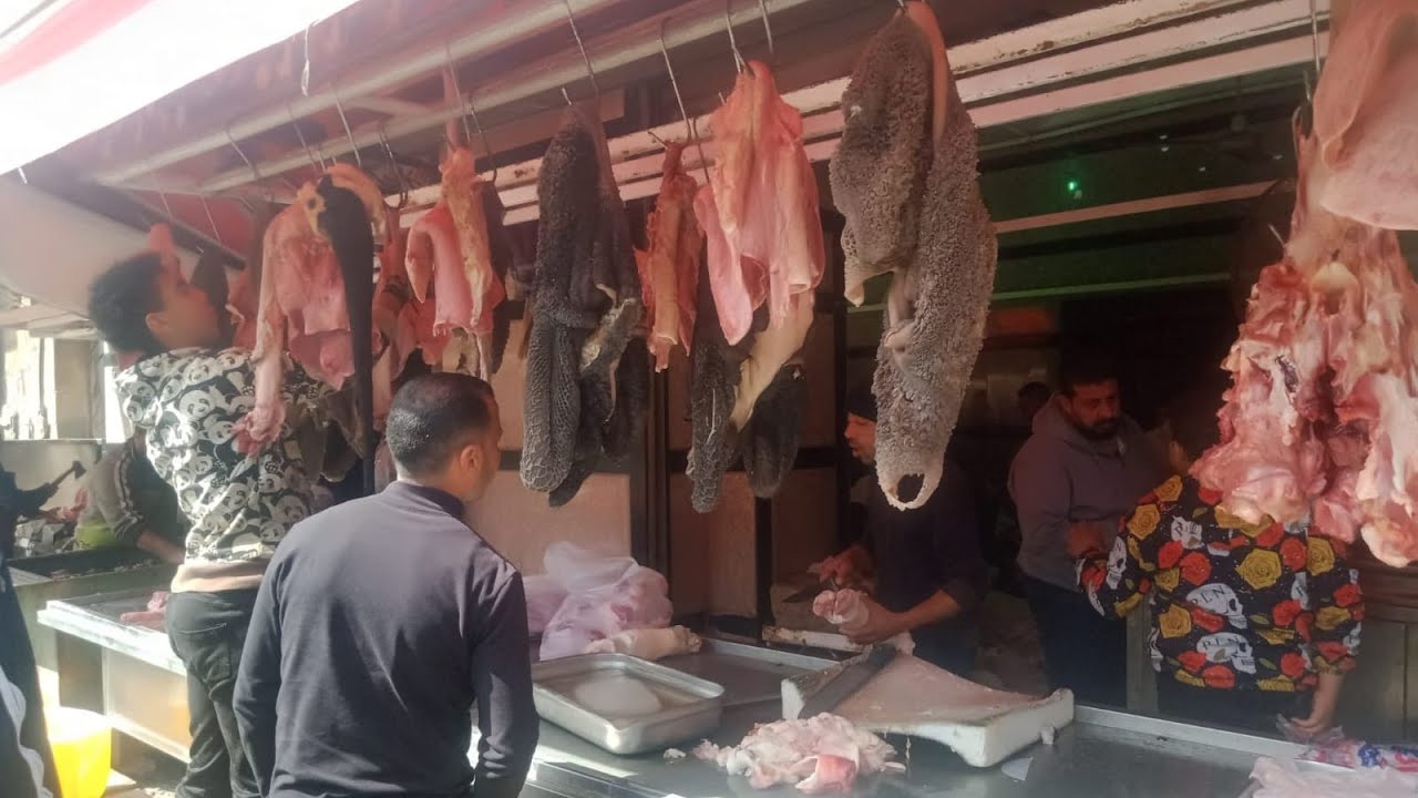 اكبر جوله فى مد❌بح السيده زينب 🐄 بالاسعار فشه كرشه ممبار كوارع💯🏃