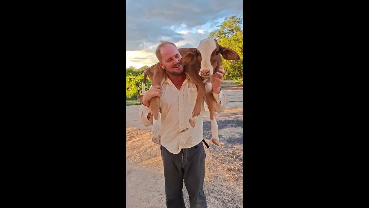 RESGATE DE TODINHO APÓS SER ABANDONADO  NA MATA POR SUA MÃE 