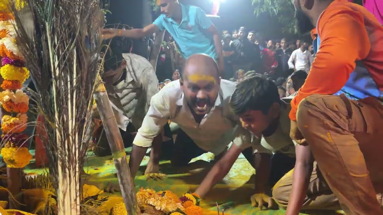 एका वेळेस आले ८ वाघे || वाघोबा देवाची वारी || हरिचंद्र महाराज पालवी || त्रिमूर्ती वर्धापन दिन २०२६