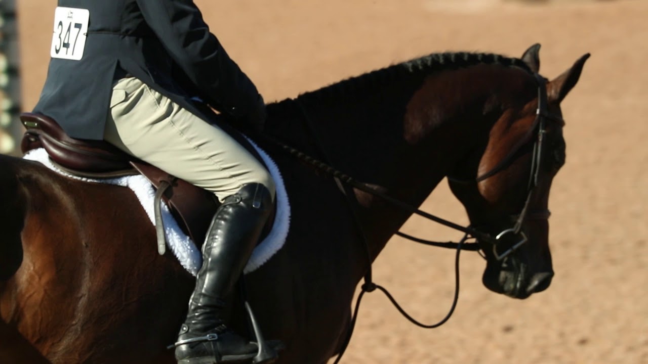 Nutrena SafeChoice. Nutrena Horse Feeds - What's Inside Counts.