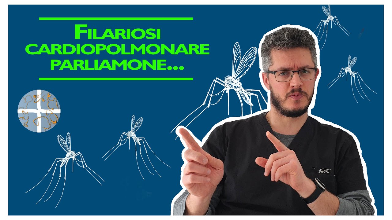 Filariosi cardiopolmonare. Parliamone...
