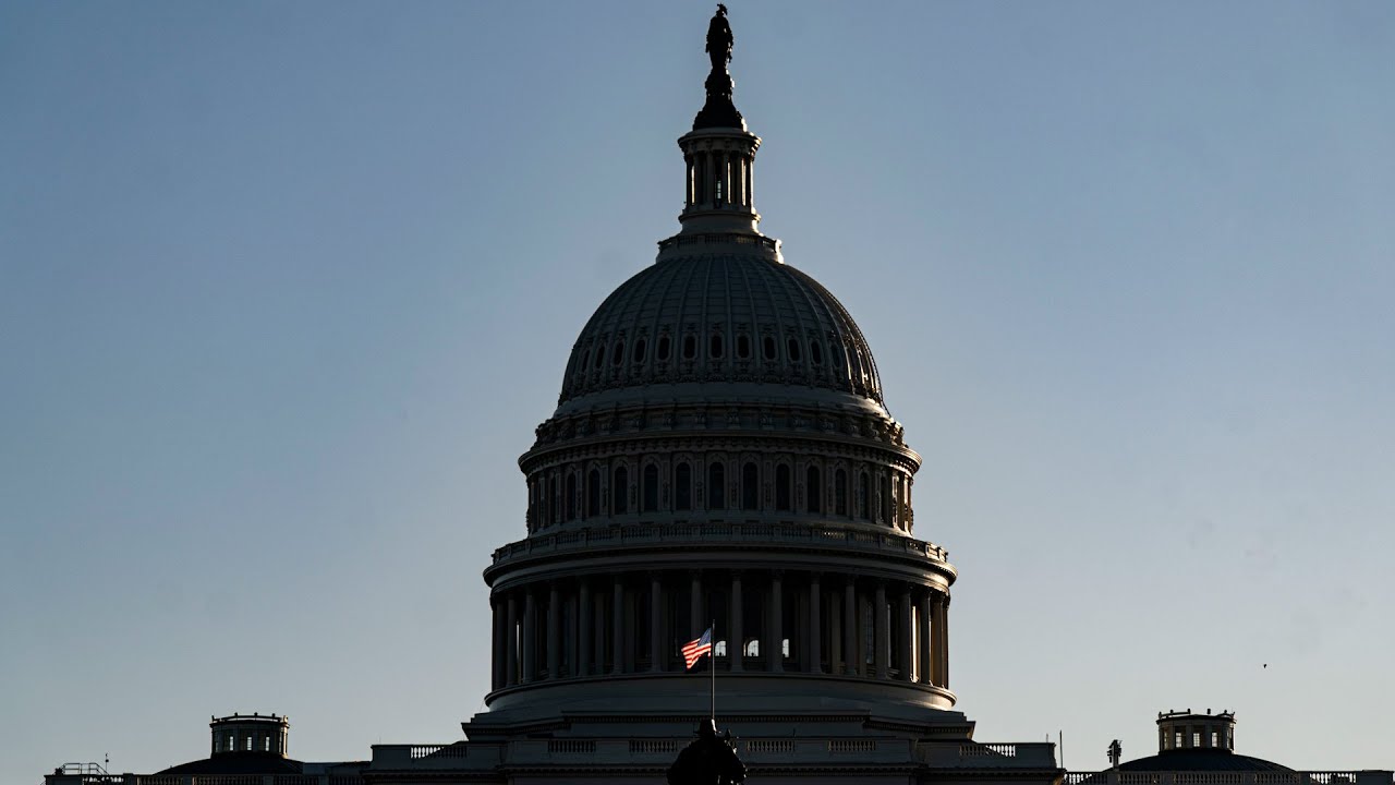 Sarah Chamberlain on GOP Winning Senate, House Undecided