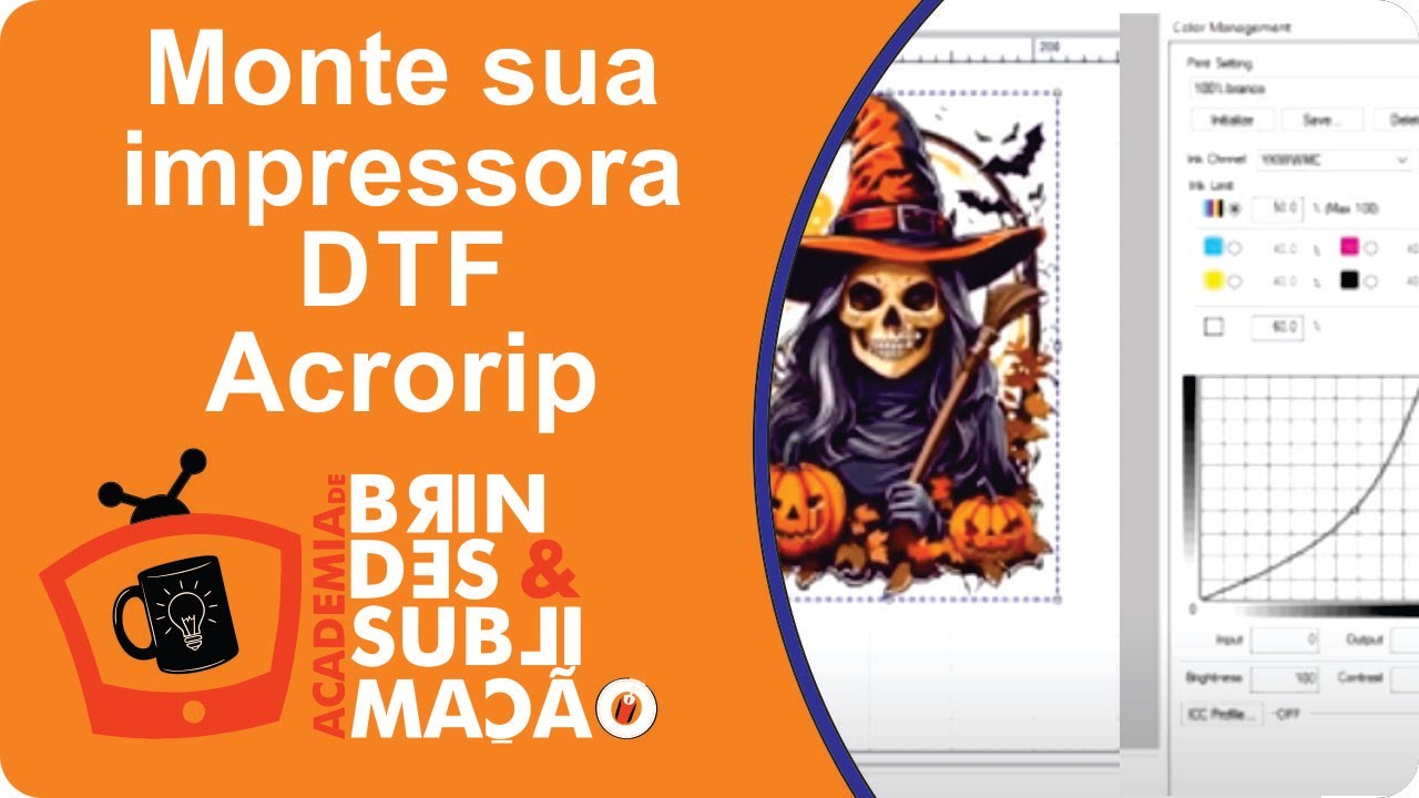 DTF PRINT - PASSO A PASSO - O que preciso para começar a fazer ( AcroRip instal. e config. ) Vídeo 9