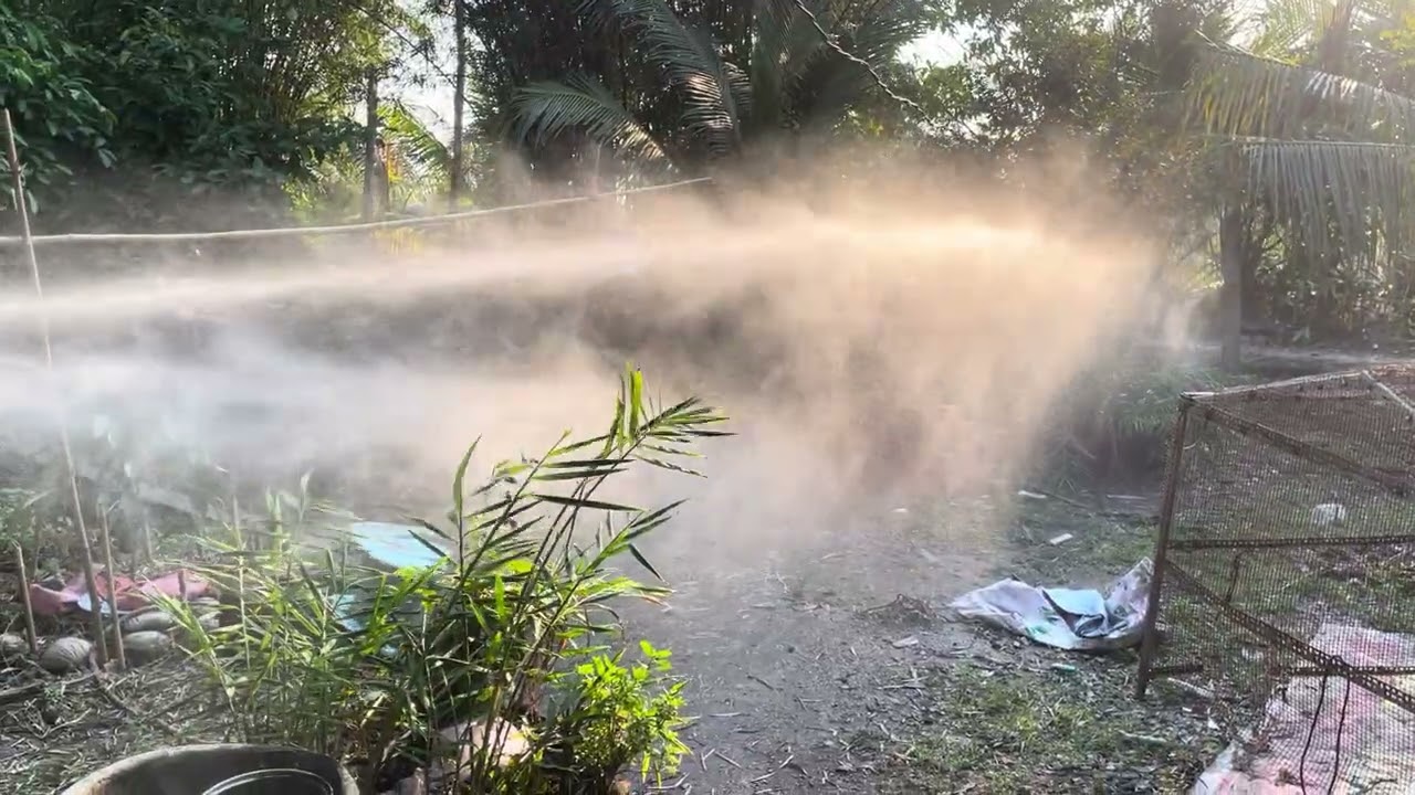 MS,,415 rin toàn tập,,,,LH 0981759619