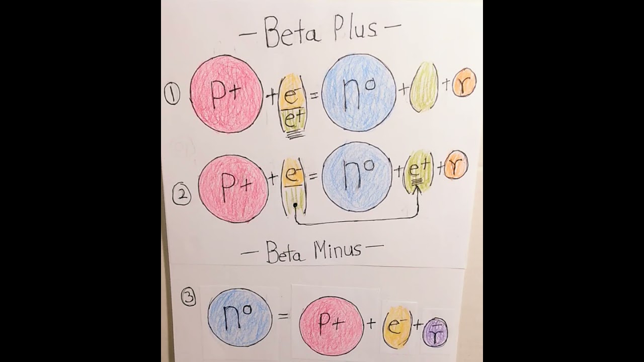 Beta Plus Decay, But Where Does The Positron Come From?