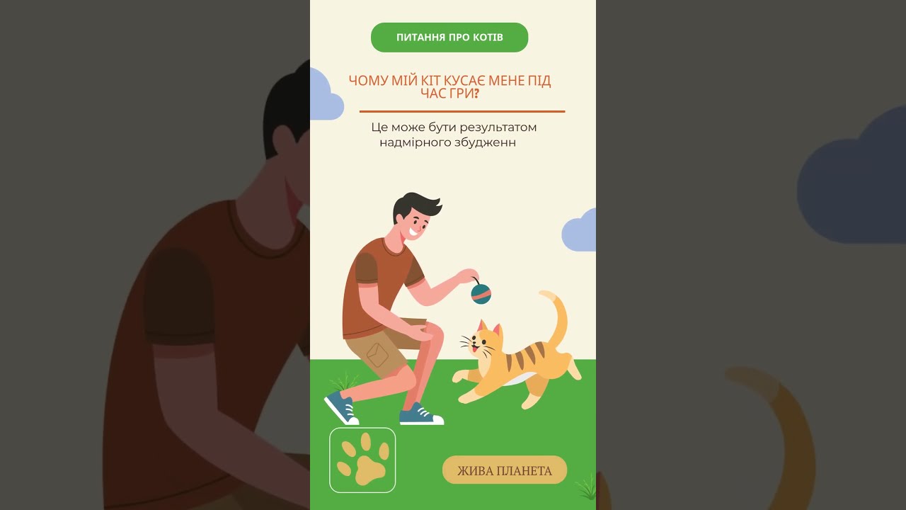 #PetCareTips