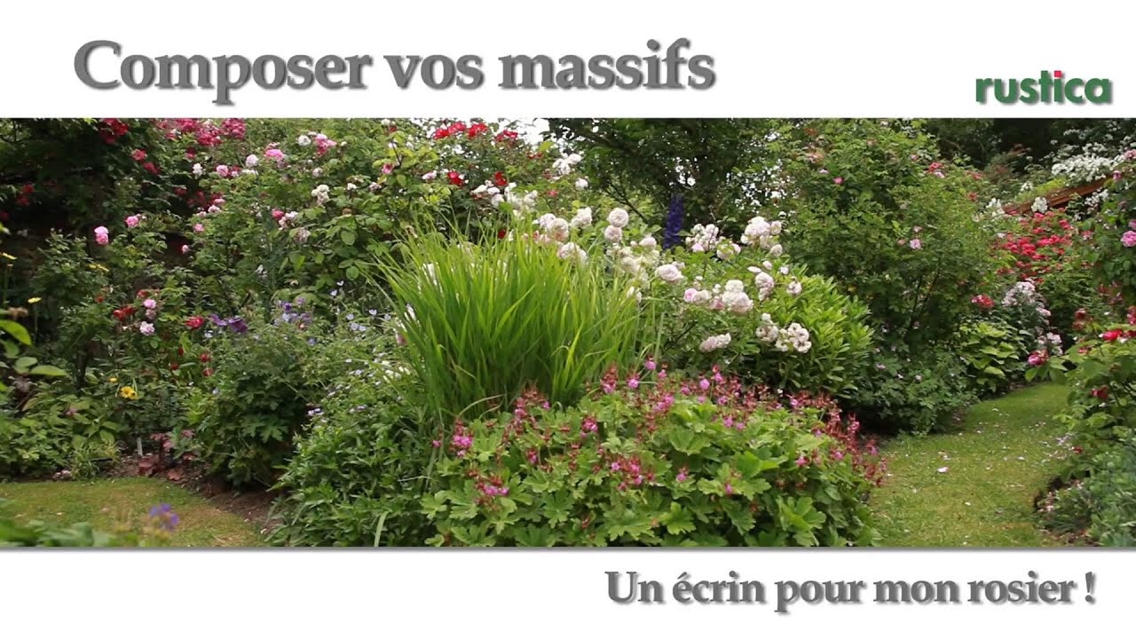 Idée de massif : mettre en valeur un rosier remontant arbustif