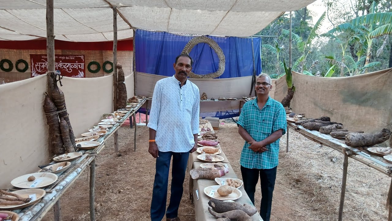 Tuber Festival Goa | Suryakant Gaonkar | Datta Naik
