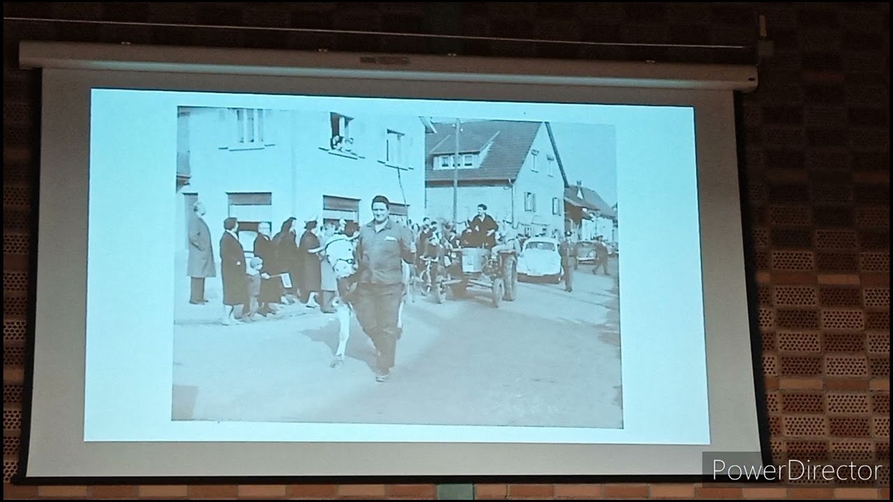 Kultur Pur