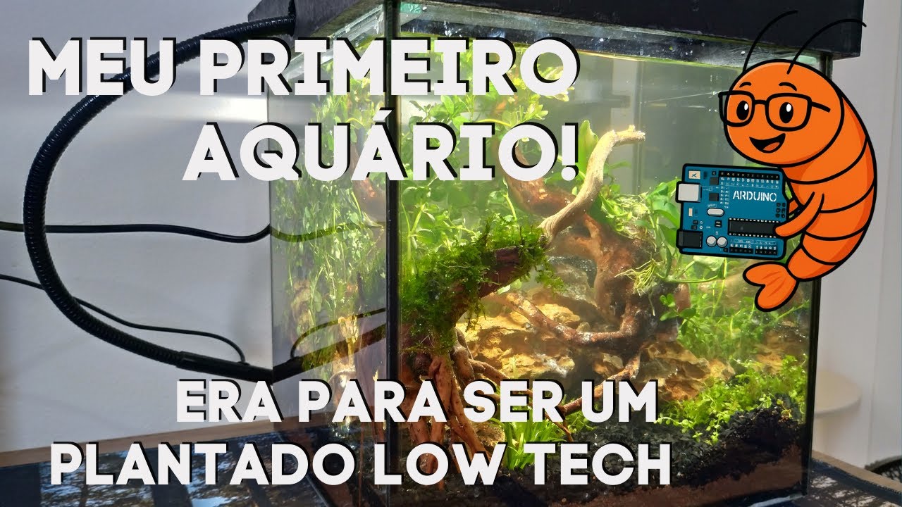 Montando aquário plantado de 15 litros para neocaridinas - plantas baixa demanda (era pra ser kkkkk)