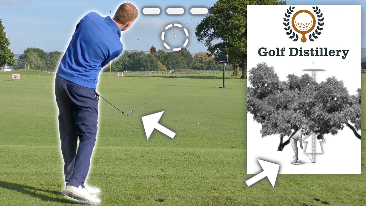 How to Hit a PUNCH SHOT UNDER TREES in golf