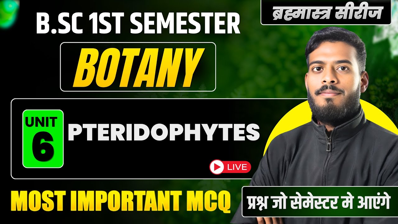 Pteridophytes B.Sc Botany 1st Semester Exam | Important Questions | MCQs | Paper | Unit-6